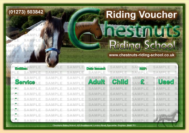 horse riding lessons. Chestnuts Riding School