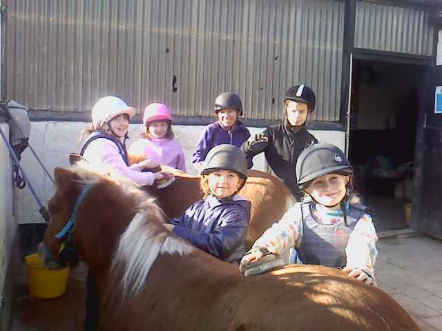 pony day halloween pony day halloween