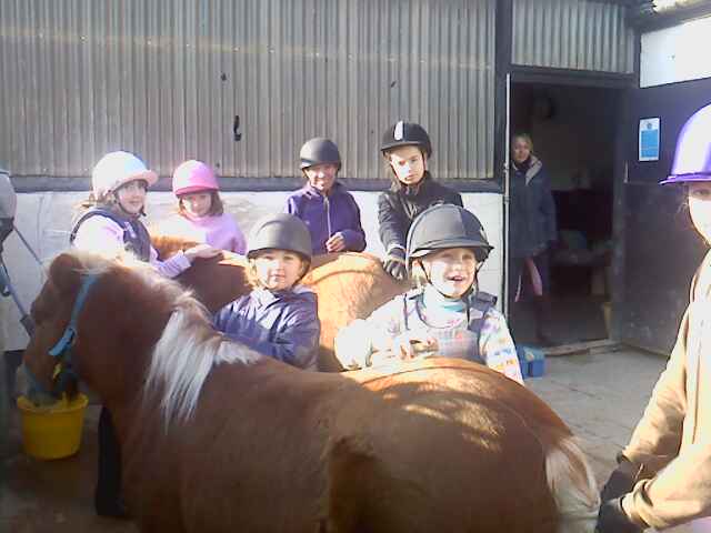 pony day halloween pony day halloween