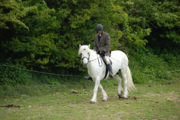 May show 09 May show 09