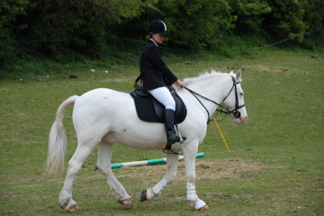 May show 09 May show 09