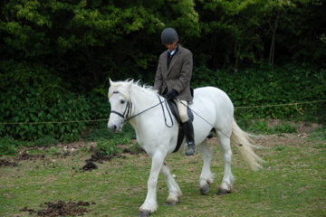 May show 09 May show 09