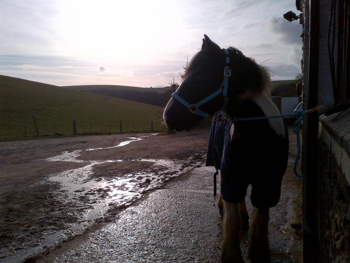 thomas on the yard thomas on the yard