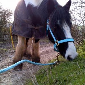 having a nibble having a nibble