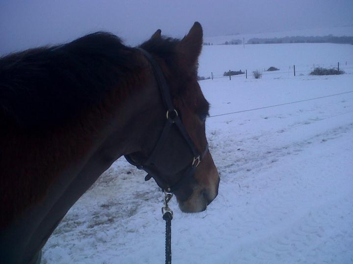 myer in the snoww myer in the snoww