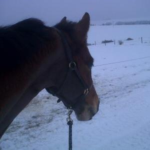 myer in the snoww myer in the snoww