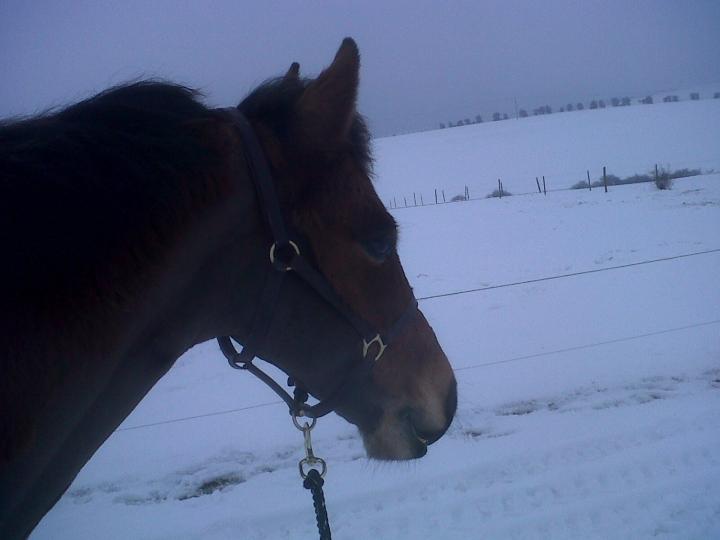 myerrrxx myerrrxx