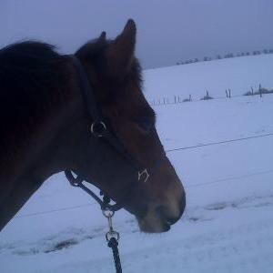 myer loving the snoww myer loving the snoww