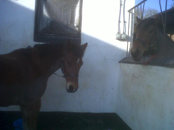 myer and rupert x myer and rupert x