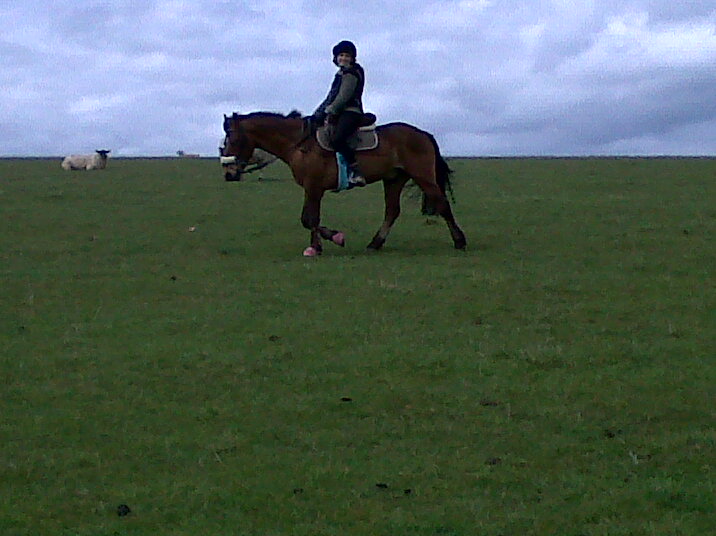 me and myer on a hackk me and myer on a hackk