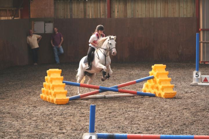 chestnuts-riding-school-036Jumping chestnuts-riding-school-036Jumping