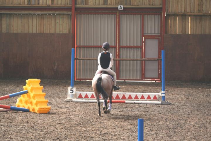 chestnuts-riding-school-045Jumping chestnuts-riding-school-045Jumping