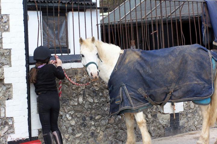 chestnuts-riding-school-05-04-2006-117 chestnuts-riding-school-05-04-2006-117