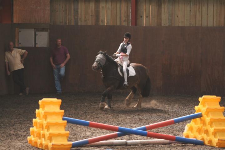 chestnuts-riding-school-059Jumping chestnuts-riding-school-059Jumping