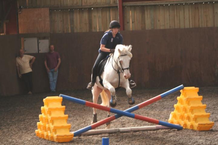 chestnuts-riding-school-081Jumping chestnuts-riding-school-081Jumping