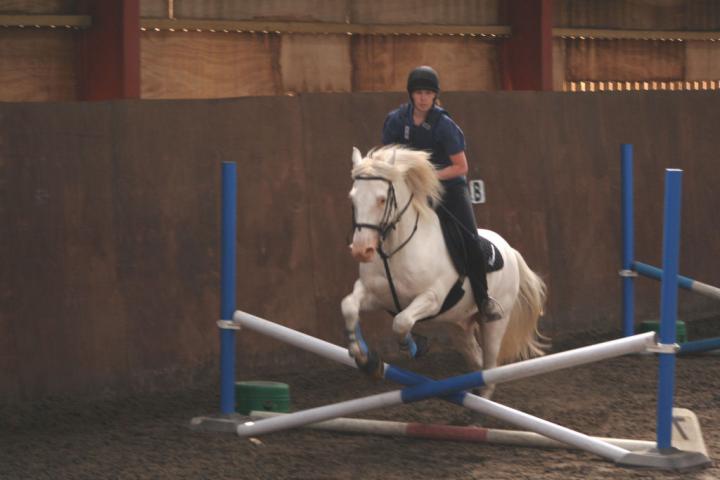 chestnuts-riding-school-082Jumping chestnuts-riding-school-082Jumping