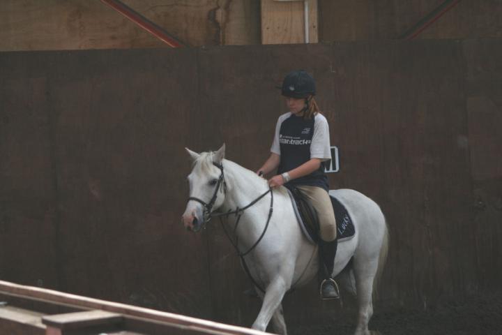 chestnuts-riding-school-089Jumping chestnuts-riding-school-089Jumping