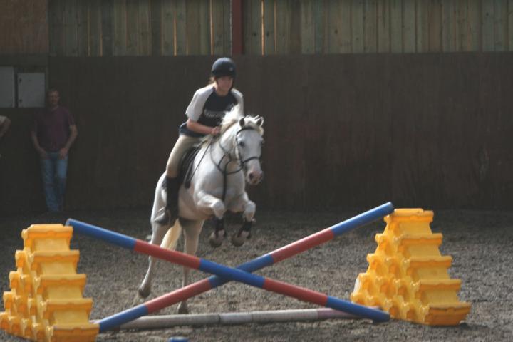 chestnuts-riding-school-090Jumping chestnuts-riding-school-090Jumping