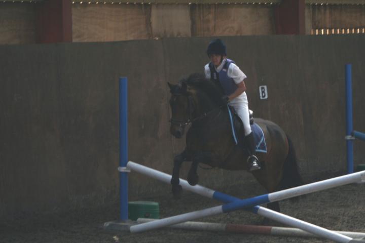 chestnuts-riding-school-092Jumping chestnuts-riding-school-092Jumping