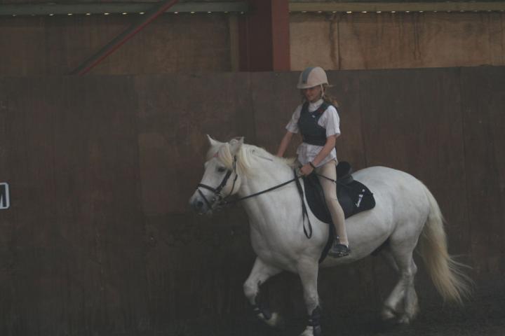 chestnuts-riding-school-094Jumping chestnuts-riding-school-094Jumping