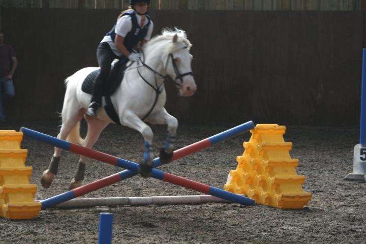 chestnuts-riding-school-097Jumping chestnuts-riding-school-097Jumping