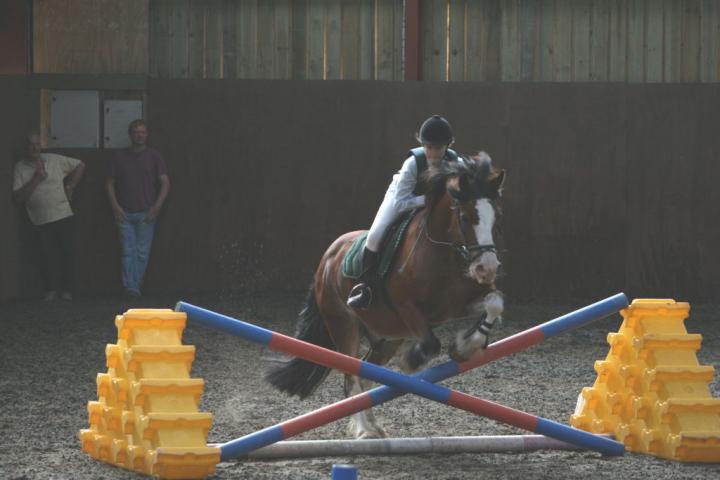chestnuts-riding-school-102Jumping chestnuts-riding-school-102Jumping