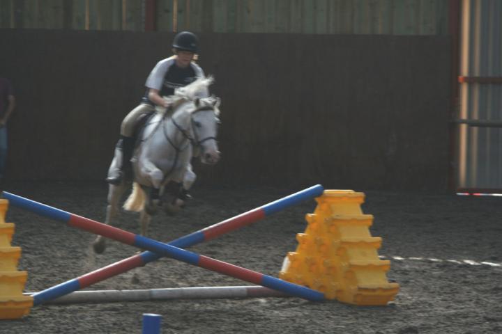chestnuts-riding-school-114Jumping chestnuts-riding-school-114Jumping