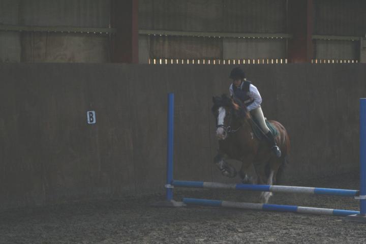 chestnuts-riding-school-123Jumping chestnuts-riding-school-123Jumping