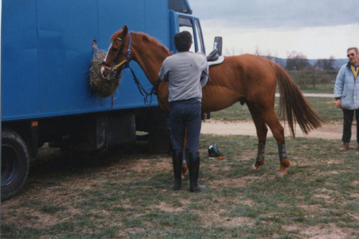 chestnuts-riding-school-Image105 chestnuts-riding-school-Image105