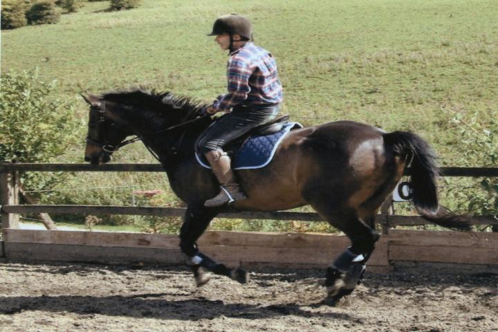 chestnuts-riding-school-Image18a chestnuts-riding-school-Image18a