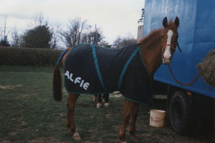 chestnuts-riding-school-Image28 chestnuts-riding-school-Image28