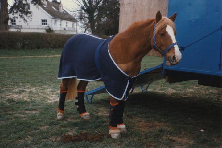 chestnuts-riding-school-Image51 chestnuts-riding-school-Image51