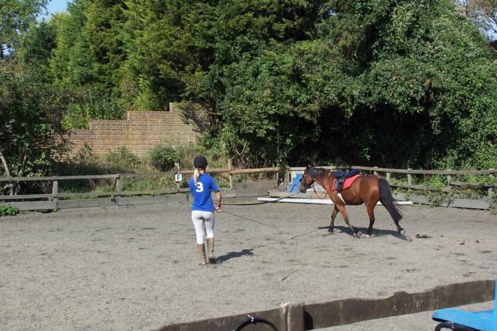 chestnuts-riding-school-chestnuts-01-07-09-2005 chestnuts-riding-school-chestnuts-01-07-09-2005