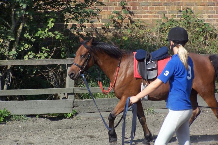 chestnuts-riding-school-chestnuts-04-07-09-2005 chestnuts-riding-school-chestnuts-04-07-09-2005