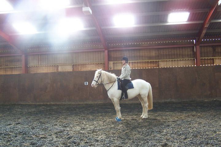 chestnuts-riding-school-chestnuts-05-03-2007-01 chestnuts-riding-school-chestnuts-05-03-2007-01