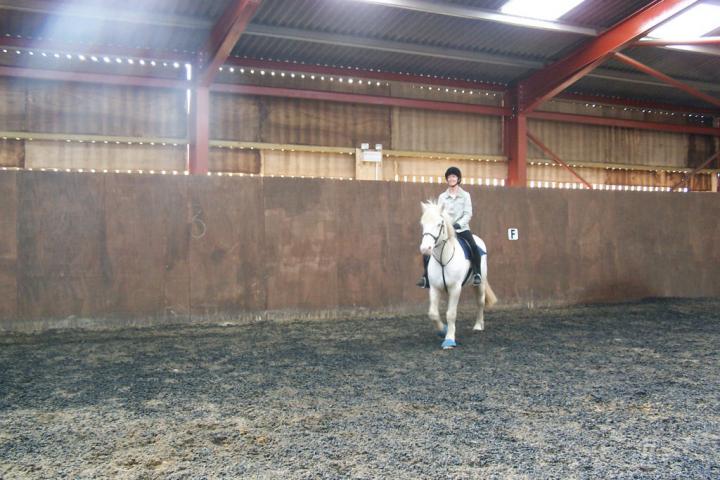 chestnuts-riding-school-chestnuts-05-03-2007-05 chestnuts-riding-school-chestnuts-05-03-2007-05
