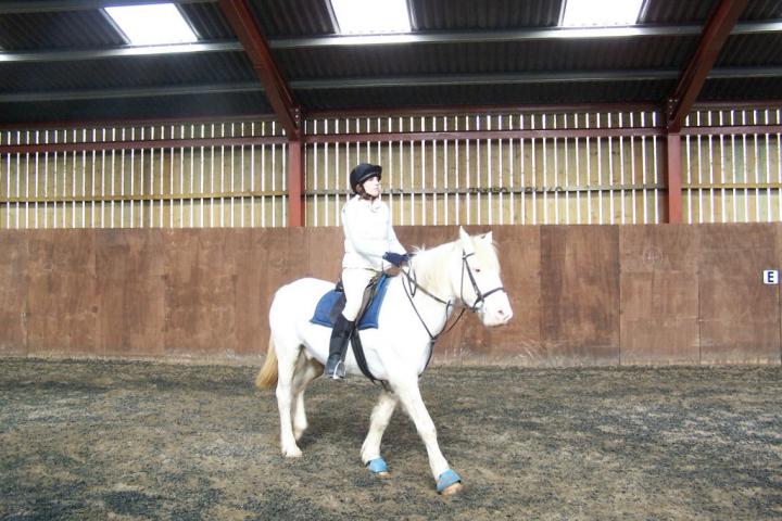 chestnuts-riding-school-chestnuts-05-03-2007-10 chestnuts-riding-school-chestnuts-05-03-2007-10