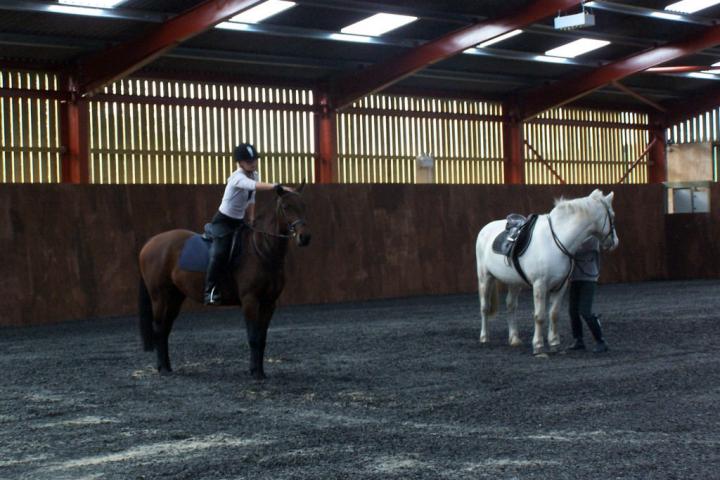 chestnuts-riding-school-chestnuts-06-30-10-2005 chestnuts-riding-school-chestnuts-06-30-10-2005