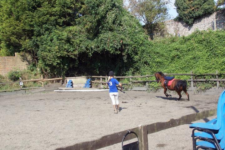 chestnuts-riding-school-chestnuts-07-07-09-2005 chestnuts-riding-school-chestnuts-07-07-09-2005