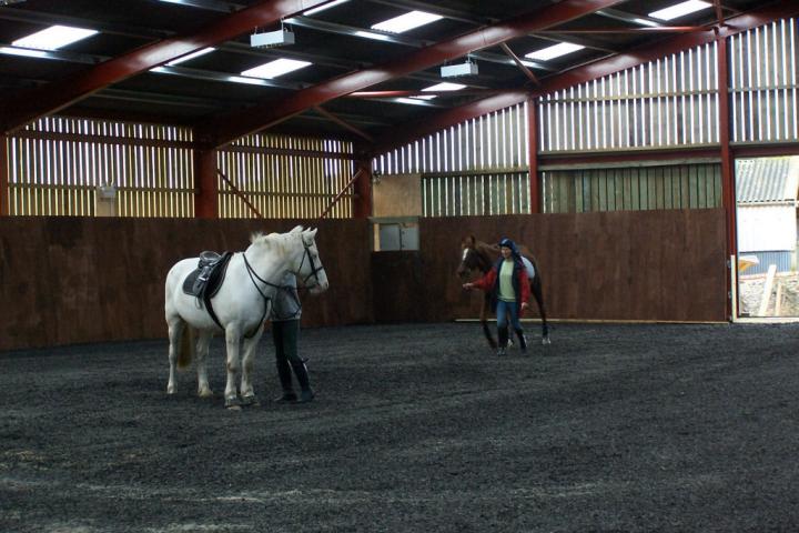 chestnuts-riding-school-chestnuts-07-30-10-2005 chestnuts-riding-school-chestnuts-07-30-10-2005