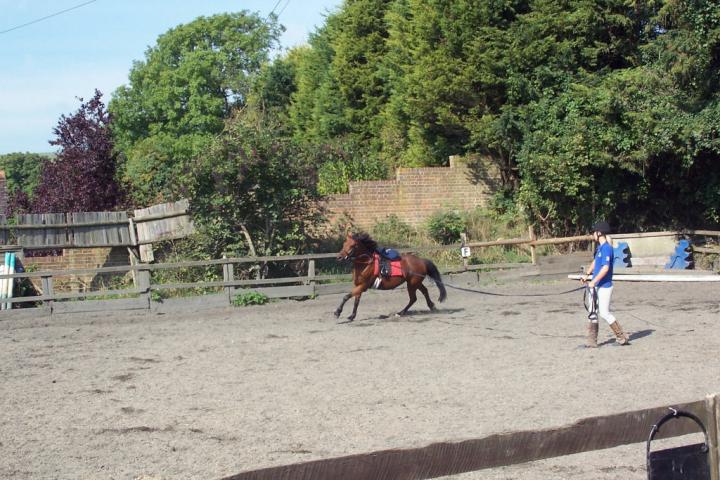 chestnuts-riding-school-chestnuts-08-07-09-2005 chestnuts-riding-school-chestnuts-08-07-09-2005