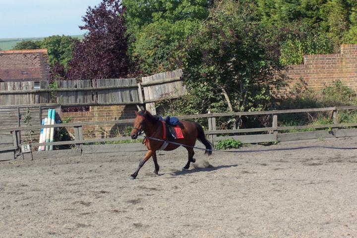 chestnuts-riding-school-chestnuts-09-07-09-2005 chestnuts-riding-school-chestnuts-09-07-09-2005