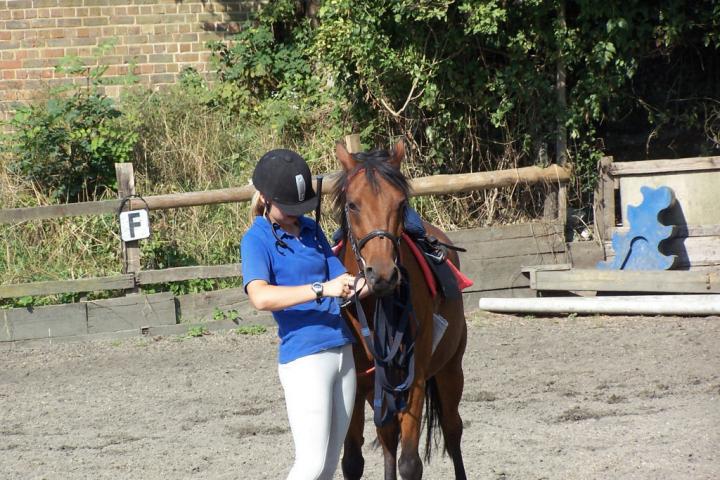 chestnuts-riding-school-chestnuts-10-07-09-2005 chestnuts-riding-school-chestnuts-10-07-09-2005