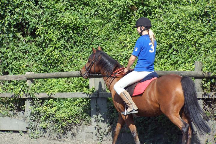 chestnuts-riding-school-chestnuts-11-07-09-2005 chestnuts-riding-school-chestnuts-11-07-09-2005