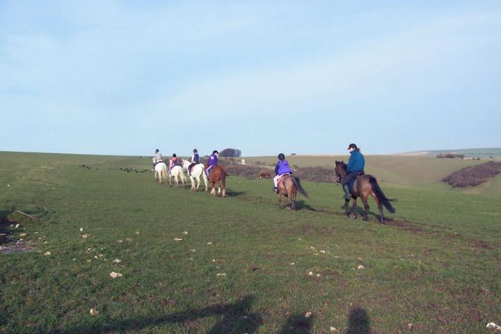 chestnuts-riding-school-chestnuts-41-13-02-2007 chestnuts-riding-school-chestnuts-41-13-02-2007