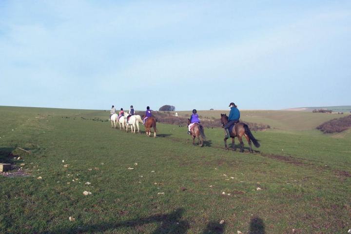 chestnuts-riding-school-chestnuts-45-13-02-2007 chestnuts-riding-school-chestnuts-45-13-02-2007