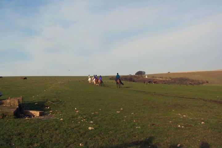chestnuts-riding-school-chestnuts-46-13-02-2007 chestnuts-riding-school-chestnuts-46-13-02-2007