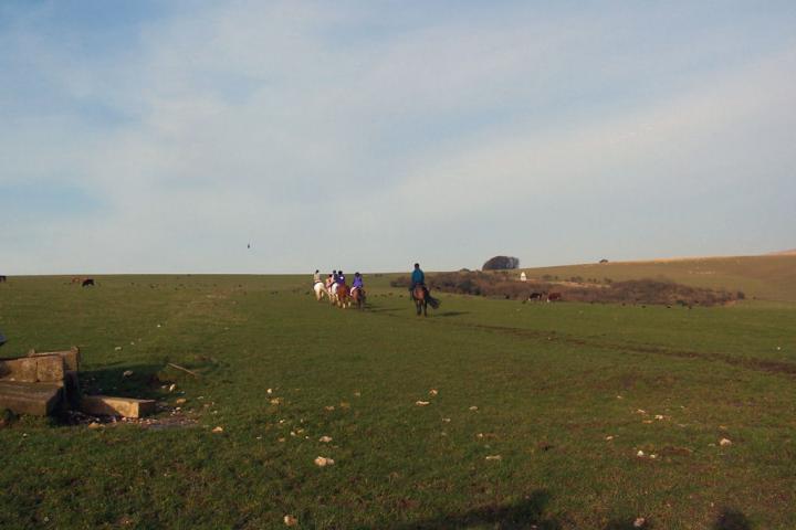 chestnuts-riding-school-chestnuts-47-13-02-2007 chestnuts-riding-school-chestnuts-47-13-02-2007