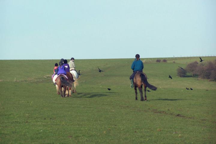 chestnuts-riding-school-chestnuts-48-13-02-2007 chestnuts-riding-school-chestnuts-48-13-02-2007