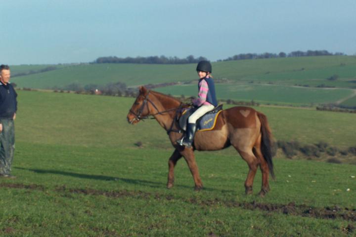 chestnuts-riding-school-chestnuts-51-13-02-2007 chestnuts-riding-school-chestnuts-51-13-02-2007